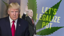 Thumbnail for Marijuana Policy in the Trump Era