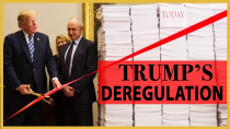 Thumbnail for Stossel: Trump's Deregulation