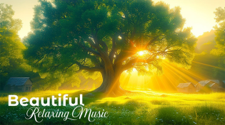 Thumbnail for 24/7 Beautiful Relaxing Music for Stress Relief, Peaceful Piano Music, Sleep Music, Meditation Music | Cozy Cottage