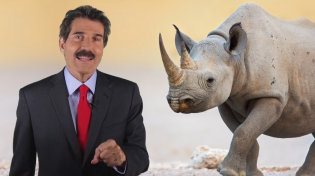 Thumbnail for Stossel: Save the Rhinos!