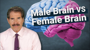 Thumbnail for Stossel: The Science Around Male Brains vs. Female Brains