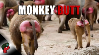 Thumbnail for Monkey Butt | Grunt Speak Shorts