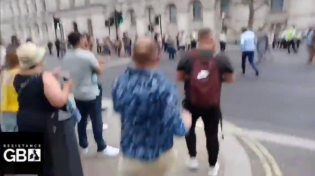 Thumbnail for BBC presenter heckled, harassed and chased by angry Britons