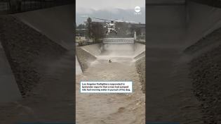 Thumbnail for Los Angeles firefighters rescue man who was trying to save dog from rushing water | ABC News